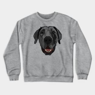 Jackson the Dane Crewneck Sweatshirt